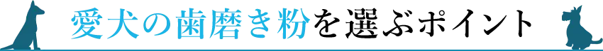 愛犬の歯磨き粉を選ぶポイント