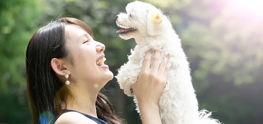 愛犬の歯磨きの重要性について