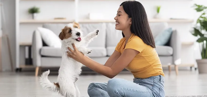 愛犬の歯を強く保つための食生活アドバイス