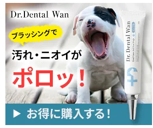 Dr.Dental Wan