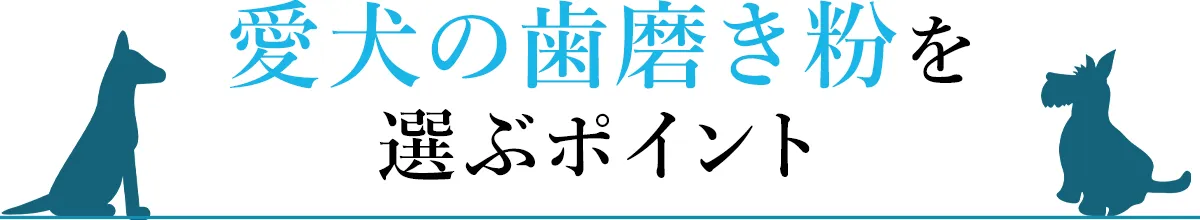 愛犬の歯磨き粉を選ぶポイント