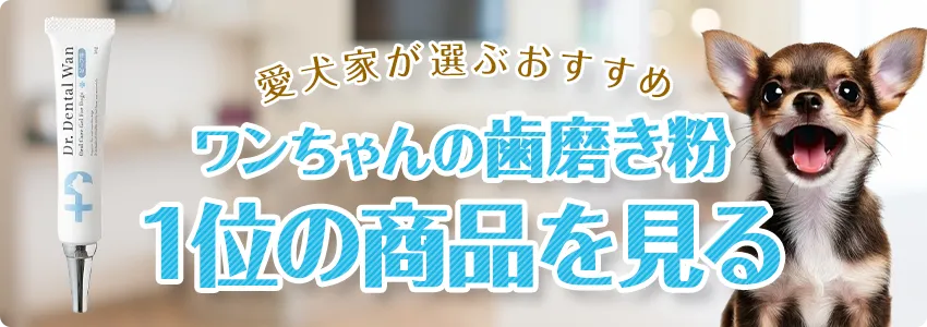 ワンちゃんの歯磨き粉1位の商品を見る